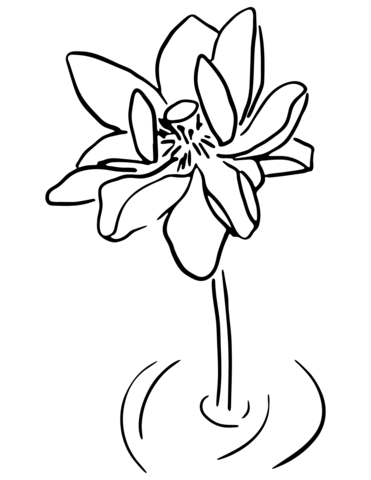 Flower From Lotus Coloring Page